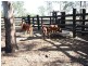 29 Kelly Road, Spring Creek QLD 4343
