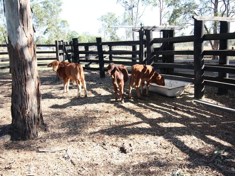 29 Kelly Road, Spring Creek QLD 4343