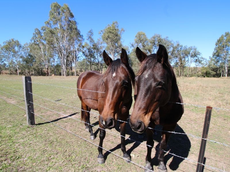 540 Spring Creek Road, Harlin QLD 4306