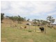 8247 D’Aguilar Highway, Moore QLD 4306