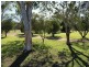 1007 Gatton Esk Road, Spring Creek QLD 4343