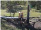 1007 Gatton Esk Road, Spring Creek QLD 4343