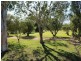 1007 Gatton Esk Road, Spring Creek QLD 4343