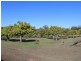 1007 Gatton Esk Road, Spring Creek QLD 4343