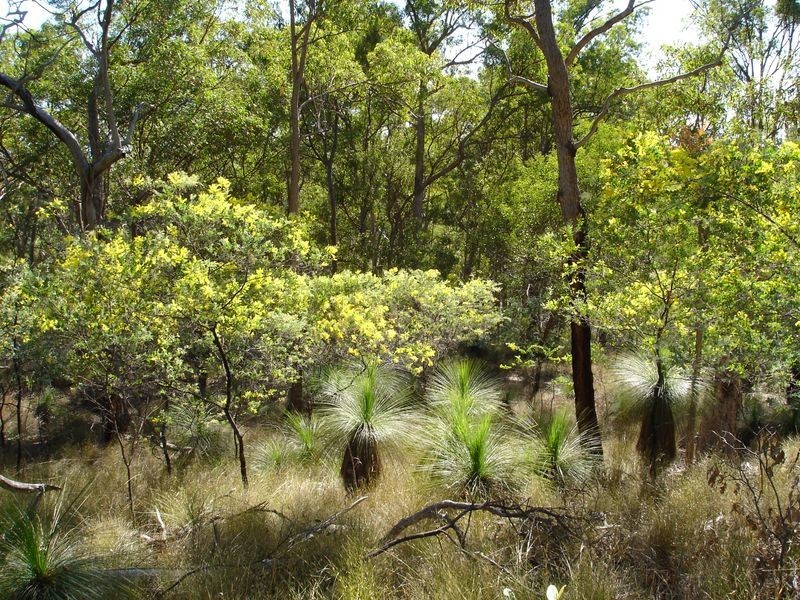 Lot 2 Mackenzie Lane, Redbank Creek QLD 4312