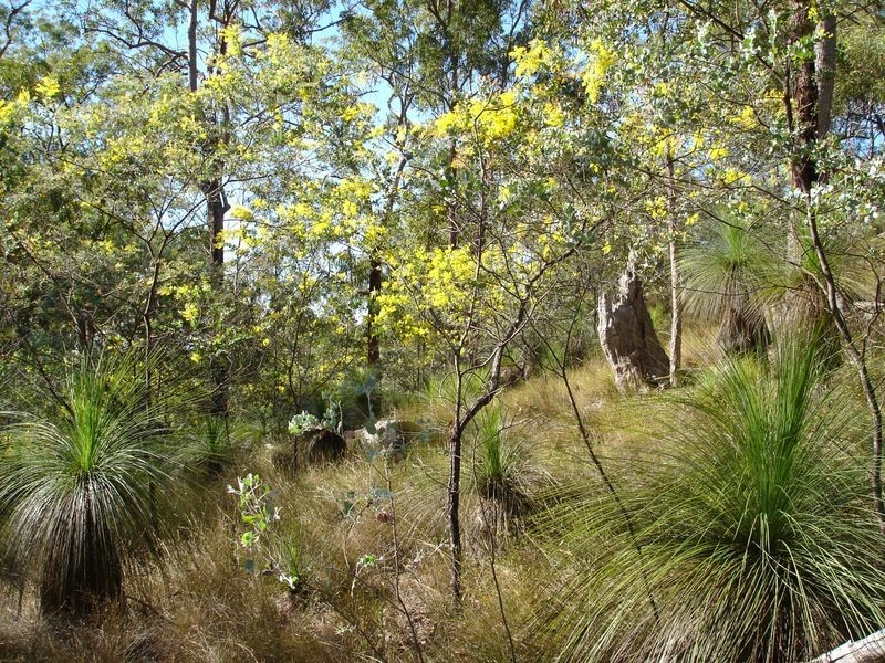 Lot 2 Mackenzie Lane, Redbank Creek QLD 4312