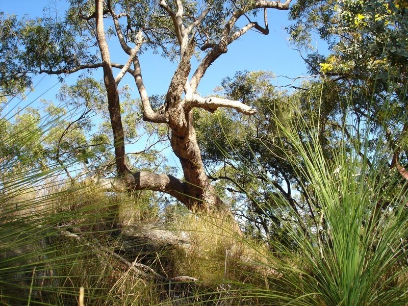 Lot 2 Mackenzie Lane, Redbank Creek QLD 4312