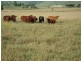 Biarra QLD 4313