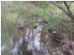 Linville QLD 4306