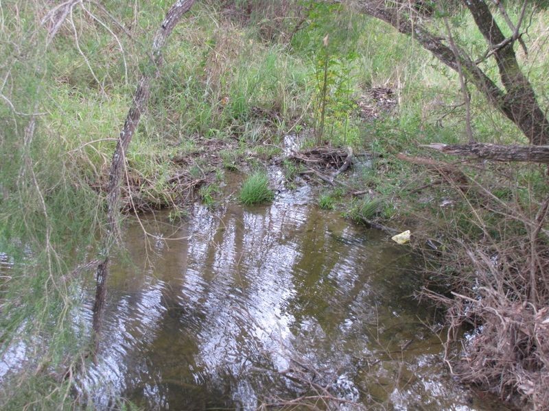 Linville QLD 4306