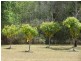 86 O’Grady Road, Coal Creek QLD 4312