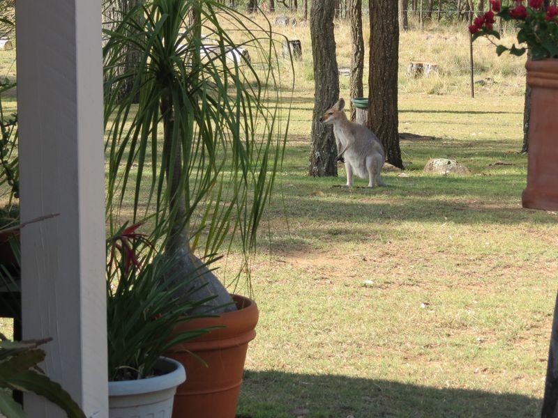 Esk QLD 4312