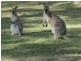 Esk QLD 4312