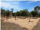 443 Morden Road, Toogoolawah QLD 4313
