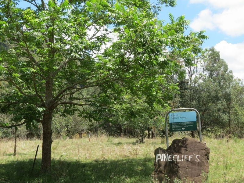 504 Cressbrook Creek Road, Esk QLD 4312