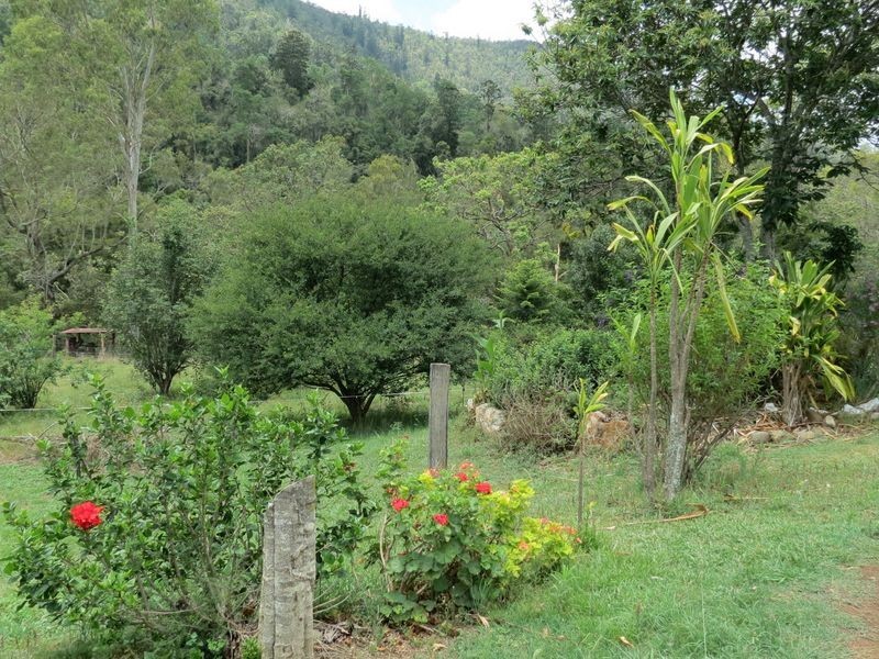 504 Cressbrook Creek Road, Esk QLD 4312