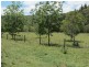 504 Cressbrook Creek Road, Esk QLD 4312