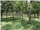 504 Cressbrook Creek Road, Esk QLD 4312
