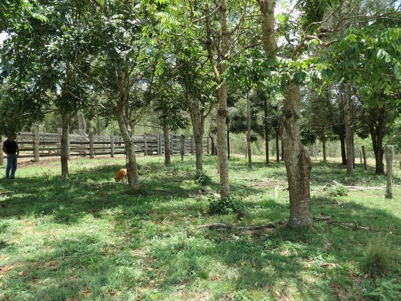 504 Cressbrook Creek Road, Esk QLD 4312