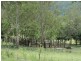 504 Cressbrook Creek Road, Esk QLD 4312