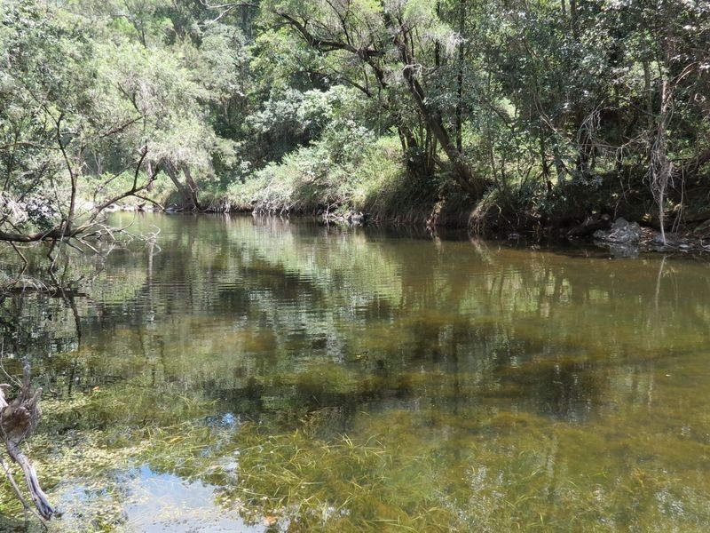 504 Cressbrook Creek Road, Esk QLD 4312