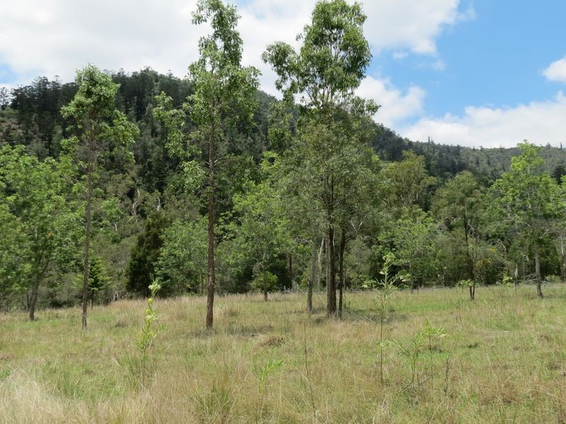 504 Cressbrook Creek Road, Esk QLD 4312