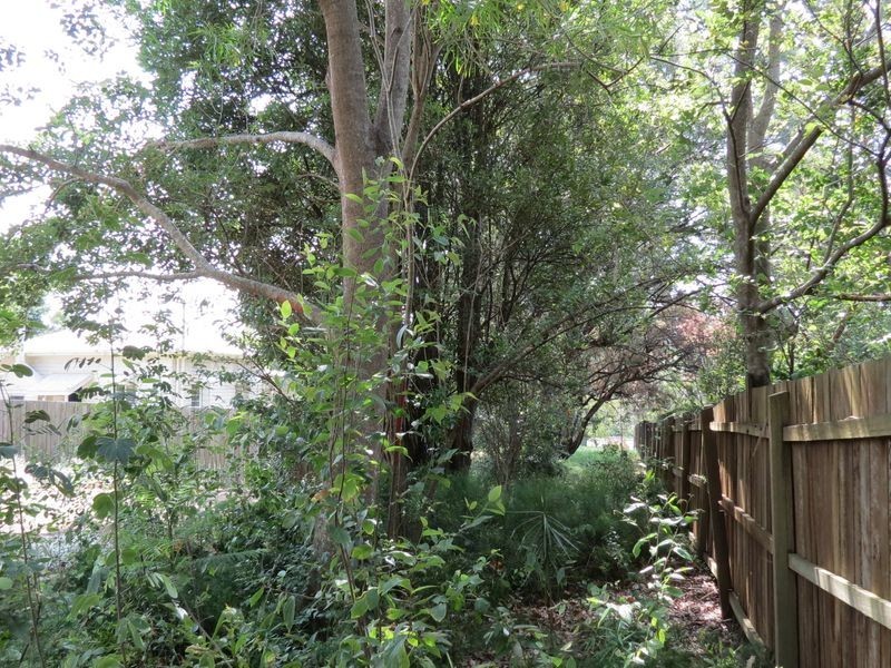 78 Middle Street, Esk QLD 4312