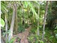 473 Willaura Drive, Mount Hallen QLD 4312