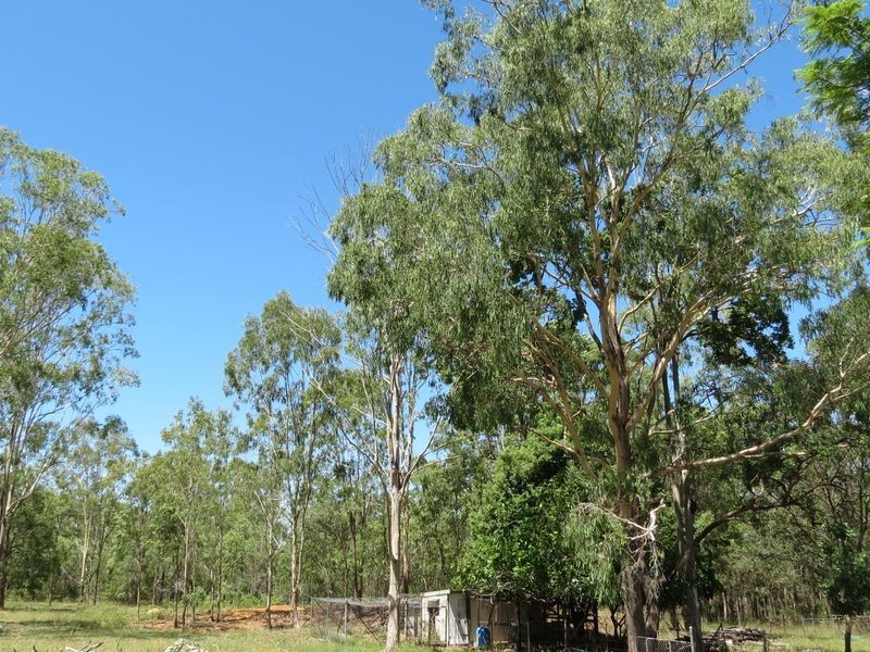 59 Elm Street Esk, Esk QLD 4312