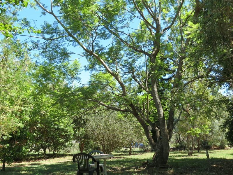 59 Elm Street Esk, Esk QLD 4312