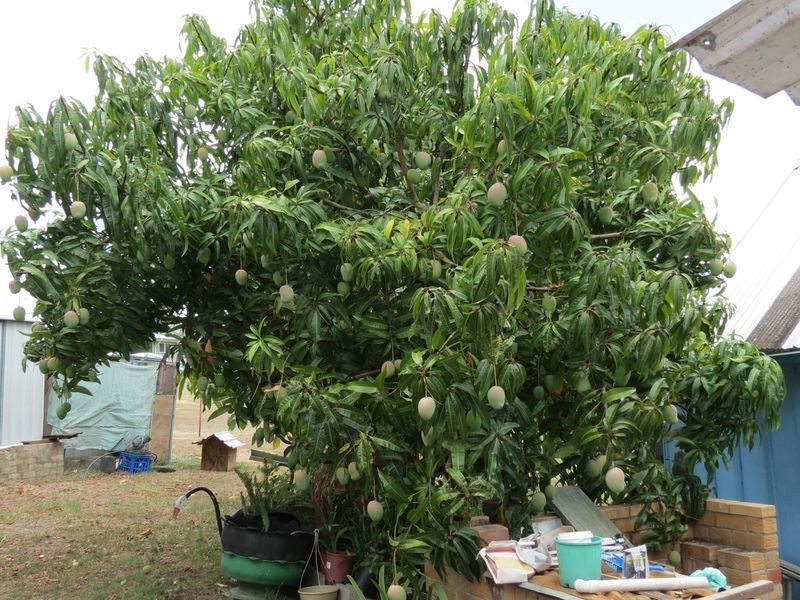 Moore QLD 4306