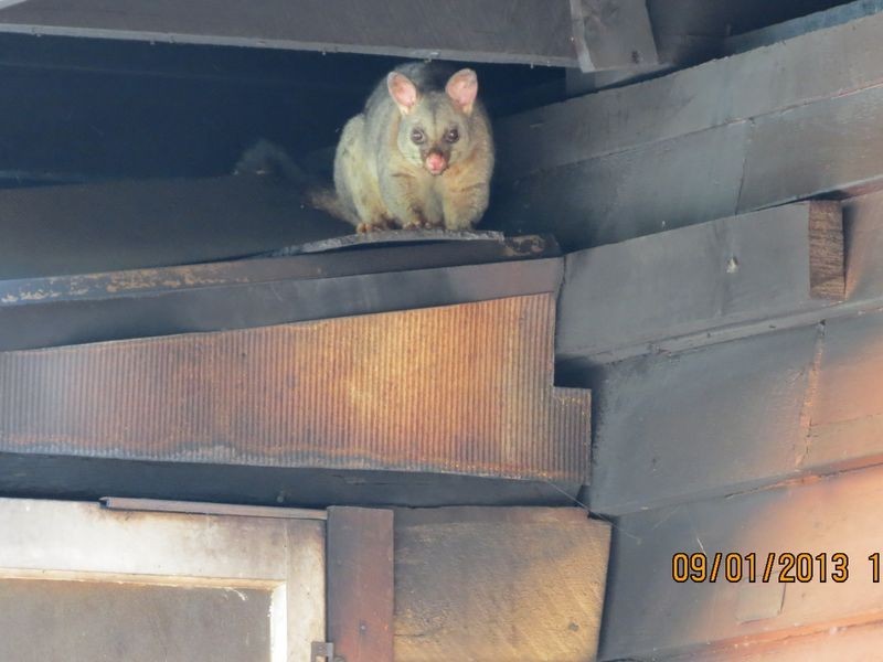 2626 Gatton – Esk Road, Mount Hallen QLD 4312