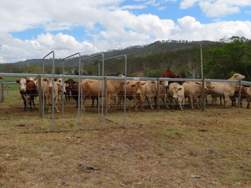 Coal Creek QLD 4312