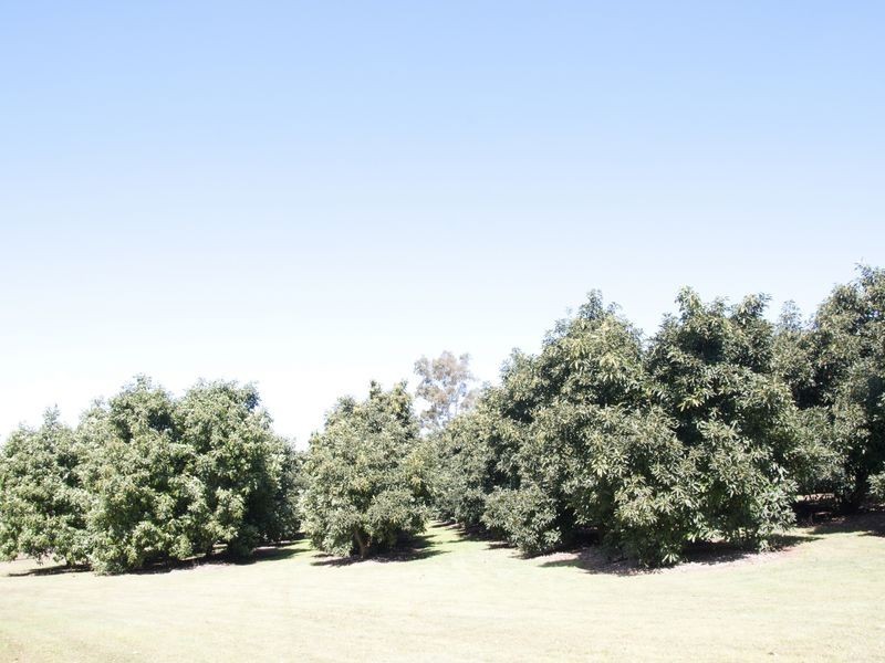 1000 ESK HAMPTON ROAD, Esk QLD 4312