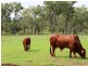 303 Clarendon Road, Rifle Range QLD 4311