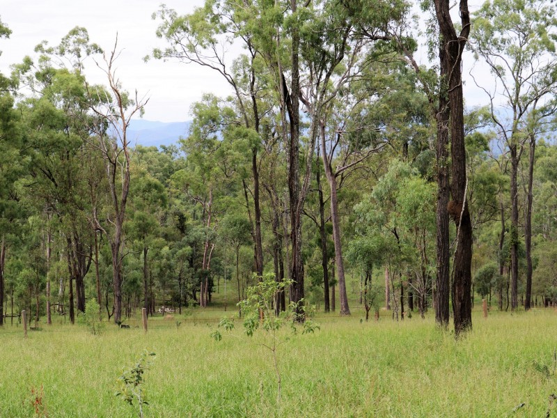 303 Clarendon Road, Rifle Range QLD 4311