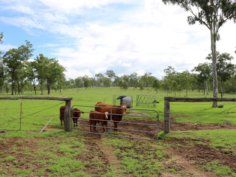 303 Clarendon Road, Rifle Range QLD 4311