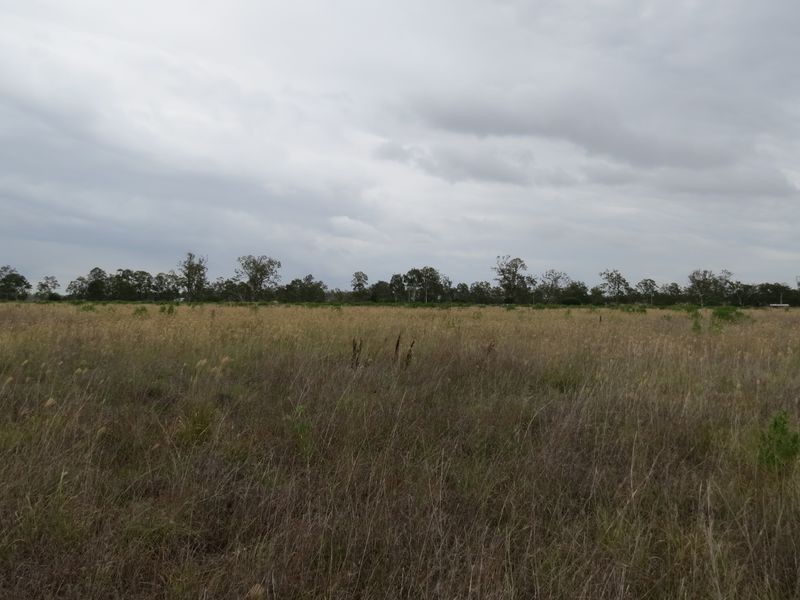 Atkinsons Dam QLD 4311