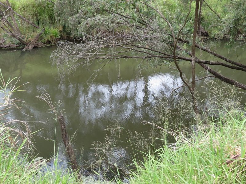 Atkinsons Dam QLD 4311
