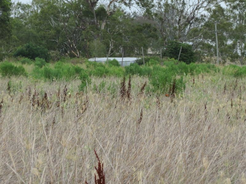 Atkinsons Dam QLD 4311