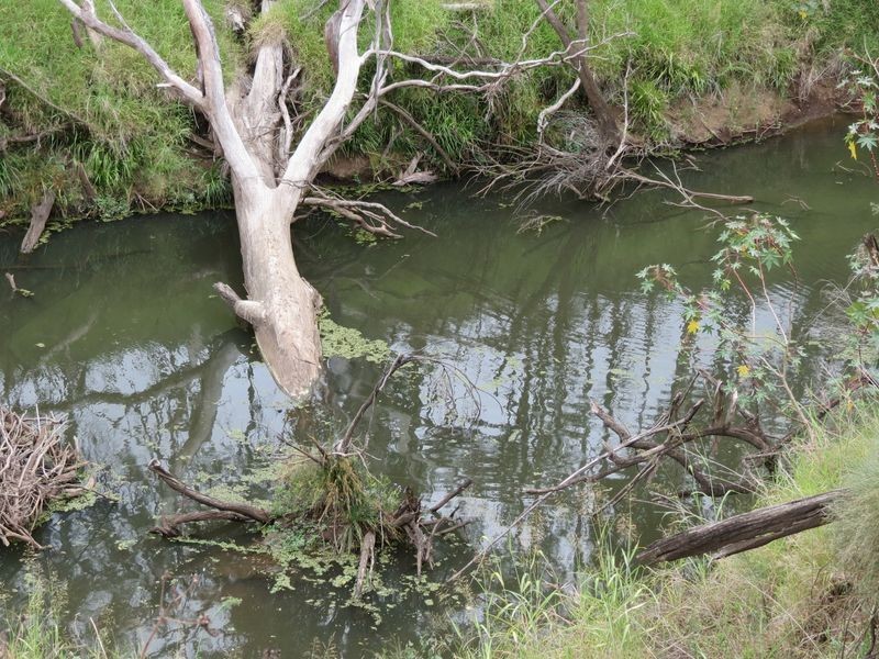 Atkinsons Dam QLD 4311