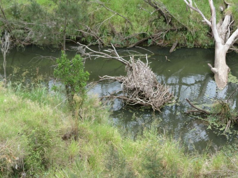Atkinsons Dam QLD 4311
