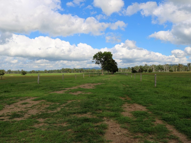 116 – 148 Scrub Creek Road, Scrub Creek QLD 4313