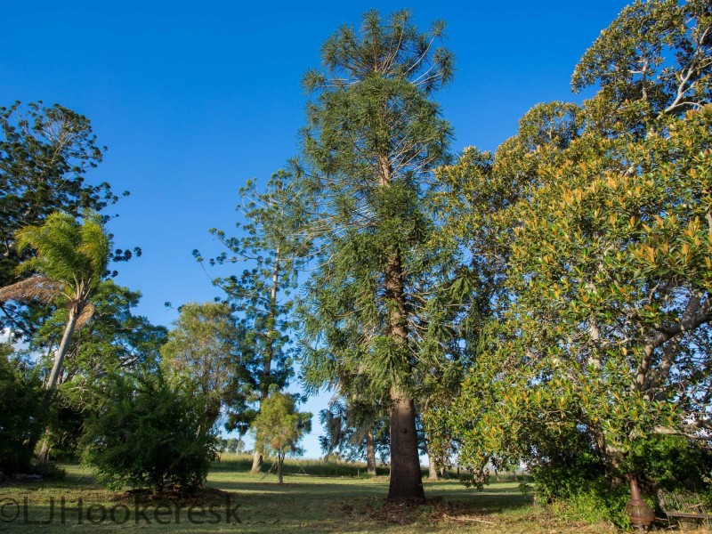 391 Crossdale Road, Somerset Dam QLD 4312