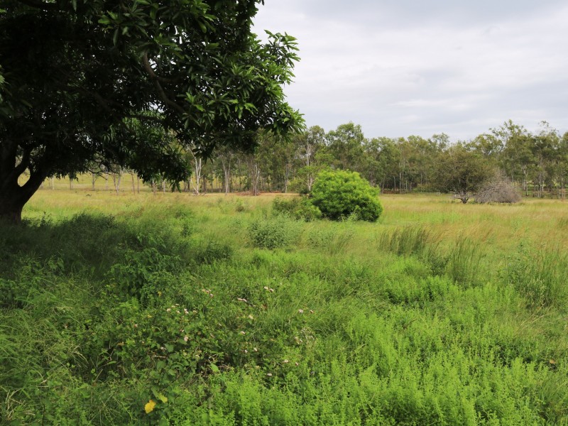 Lot 4 Langtons Lane, Esk QLD 4312