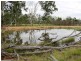 Lot 4 Langtons Lane, Esk QLD 4312