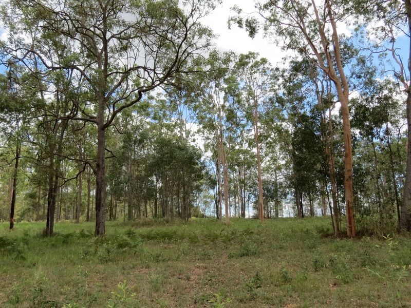 29 Balmoral  Court, Mount Hallen QLD 4312