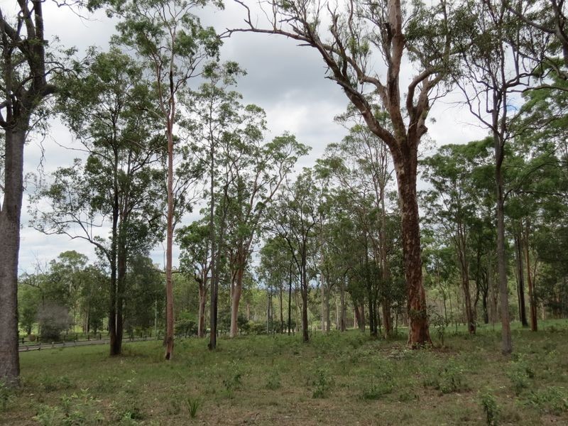 29 Balmoral  Court, Mount Hallen QLD 4312