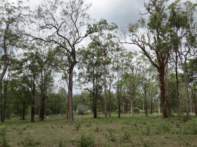 29 Balmoral  Court, Mount Hallen QLD 4312