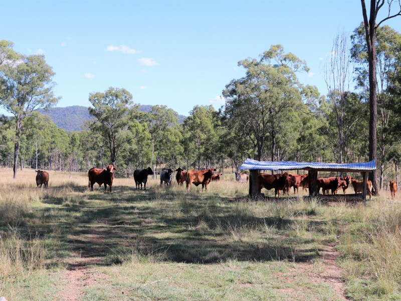 Lot 2 Esk Crows Nest Road, Biarra QLD 4313